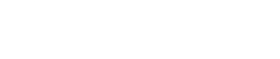 Skores Medias Logo